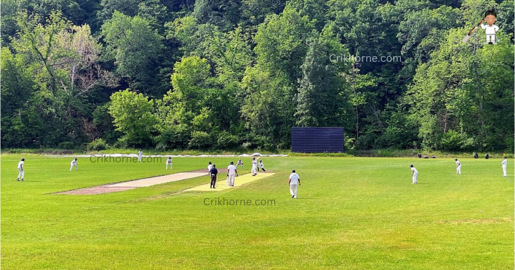 Cricket, a sport revered in many parts of the world, has struggled to gain widespread popularity in the United States Americans not like cricket